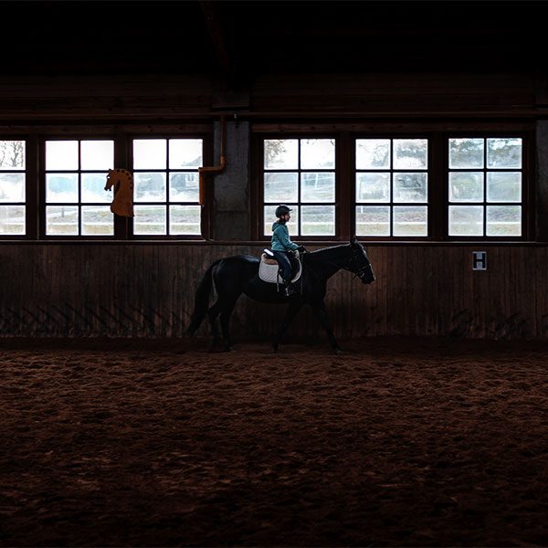 Solar Powered Equestrian Lighting | NexSun